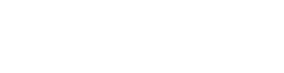 One Piece logo